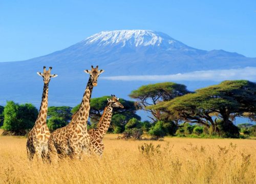 3 Days Amboseli National Park