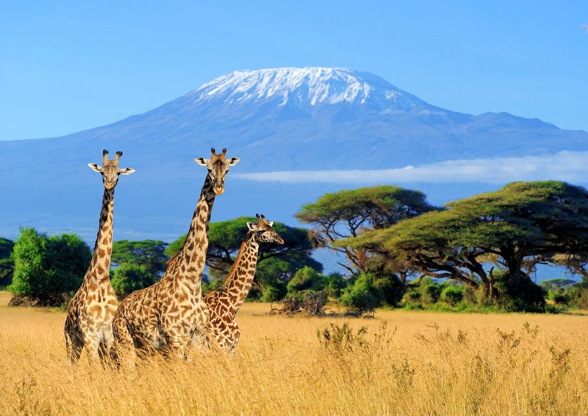 3 Days Amboseli National Park
