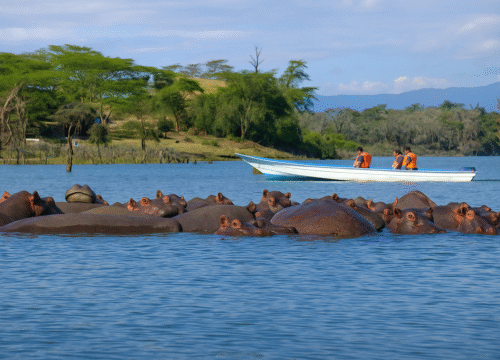 Lake Naivasha & Hell’s Gate Day Trip Safari