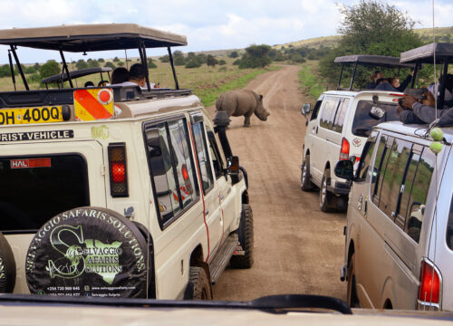 Nairobi National Park &  5 other City Spots Day Trip Safari