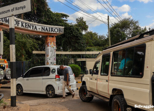 Nairobi National Park &  4 other City Spots Day Trip Safari