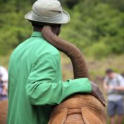 Naipoke and his carer at the David Sheldrick…