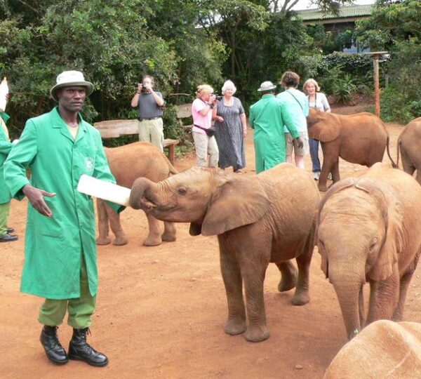 The David Sheldrick Wildlife Trust_ A Haven for…