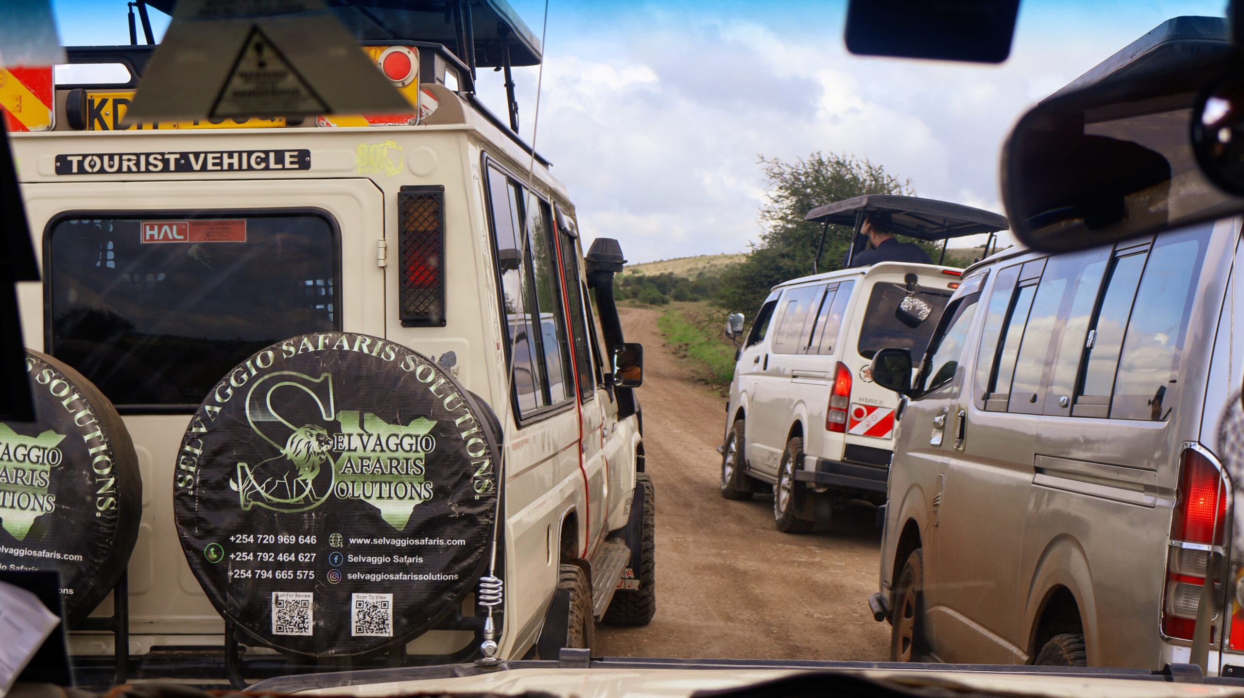 Nairobi National Park & David Sheldrick Day Trip Safari