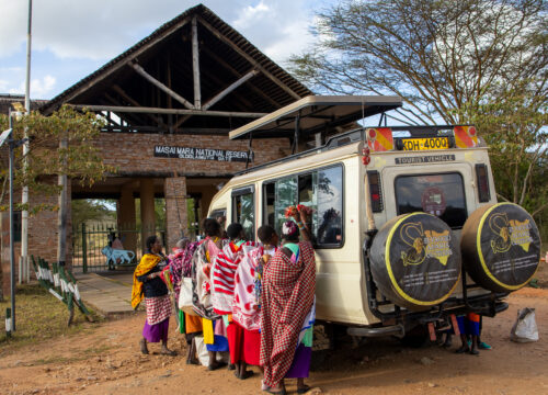 🛑 STOP: You Are Planning Your Safari All Wrong (And It’s Costing You the Experience)