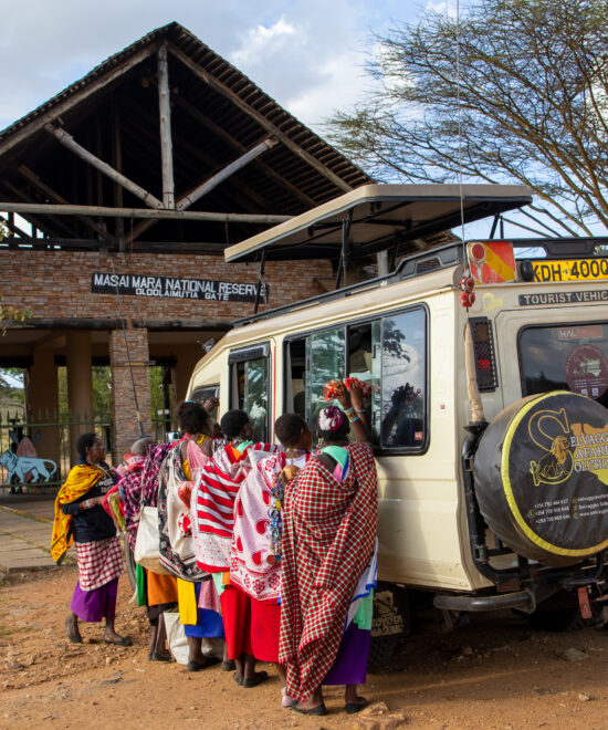 🛑 STOP: You Are Planning Your Safari All Wrong (And It’s Costing You the Experience)