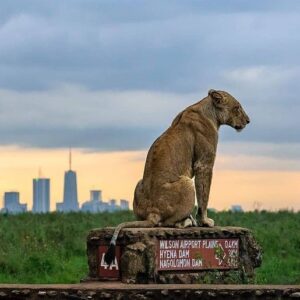 12 Top-Rated Tourist Attractions & Things to Do in Nairobi
