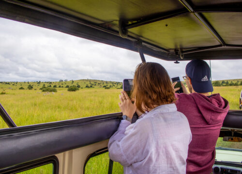 Explore Nairobi National Park & Giraffe Centre Day Safari