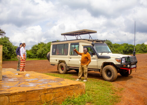 Explore Nairobi National Park & Giraffe Centre Day Safari