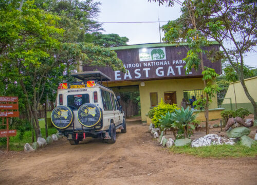 Discover Nairobi National Park & 4 Popular Iconic City Attractions Day Trip Safari